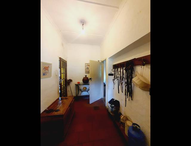 3 BEDROOM EQUESTRIAN PROPERTY FOR SALE IN BLUE HILLS